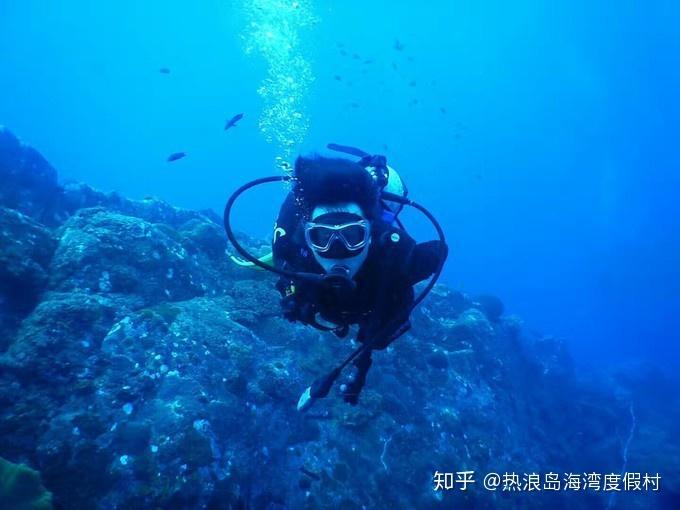小猫钓鱼开船版最新版下载